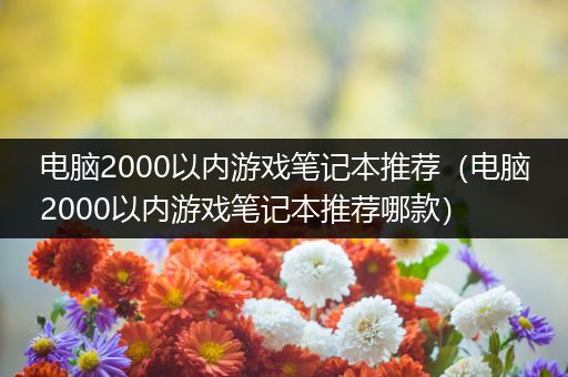 电脑2000以内游戏笔记本推荐（电脑2000以内游戏笔记本推荐哪款）