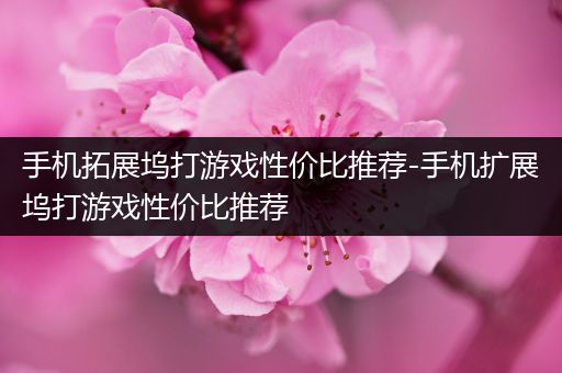 手机拓展坞打游戏性价比推荐-手机扩展坞打游戏性价比推荐
