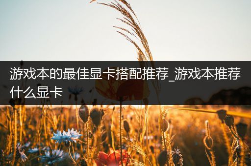 游戏本的最佳显卡搭配推荐_游戏本推荐什么显卡