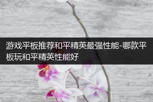 游戏平板推荐和平精英最强性能-哪款平板玩和平精英性能好