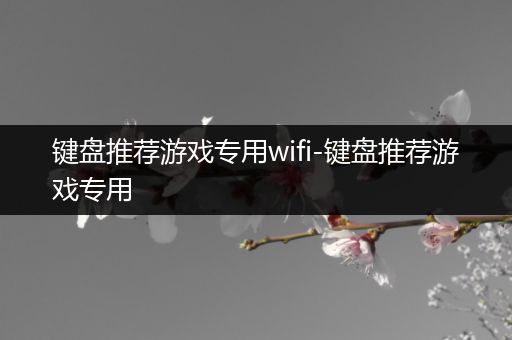 键盘推荐游戏专用wifi-键盘推荐游戏专用