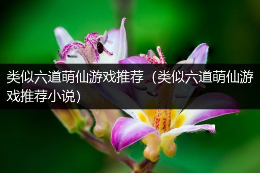 类似六道萌仙游戏推荐（类似六道萌仙游戏推荐小说）