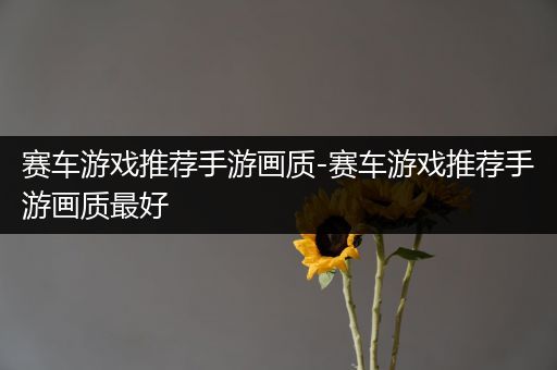赛车游戏推荐手游画质-赛车游戏推荐手游画质最好