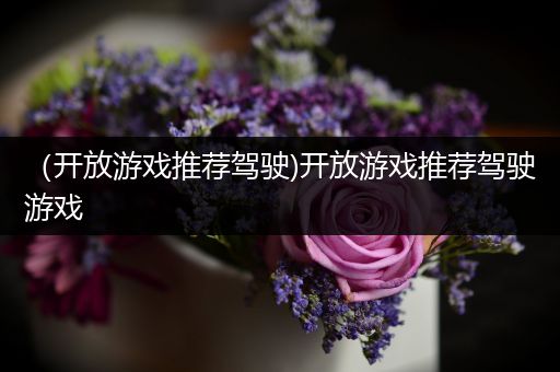 （开放游戏推荐驾驶)开放游戏推荐驾驶游戏