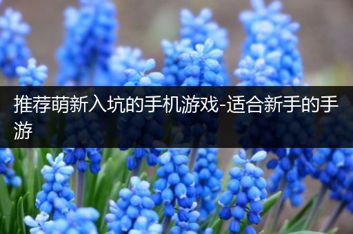 推荐萌新入坑的手机游戏-适合新手的手游