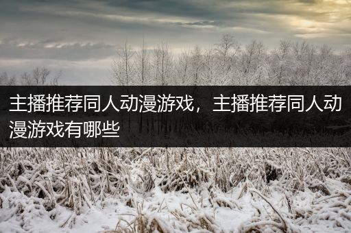 主播推荐同人动漫游戏，主播推荐同人动漫游戏有哪些