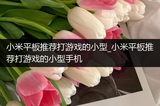小米平板推荐打游戏的小型_小米平板推荐打游戏的小型手机