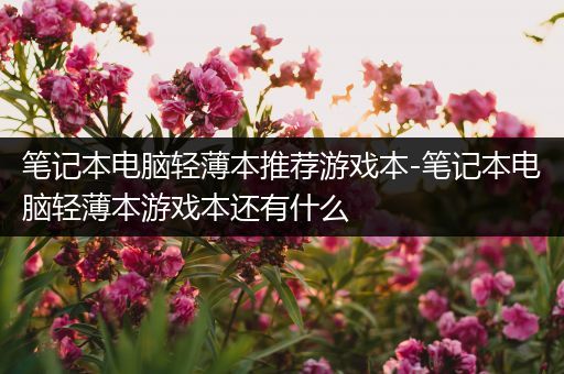 笔记本电脑轻薄本推荐游戏本-笔记本电脑轻薄本游戏本还有什么