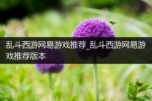 乱斗西游网易游戏推荐_乱斗西游网易游戏推荐版本