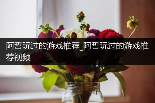 阿哲玩过的游戏推荐_阿哲玩过的游戏推荐视频
