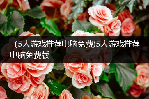 （5人游戏推荐电脑免费)5人游戏推荐电脑免费版