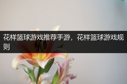 花样篮球游戏推荐手游，花样篮球游戏规则