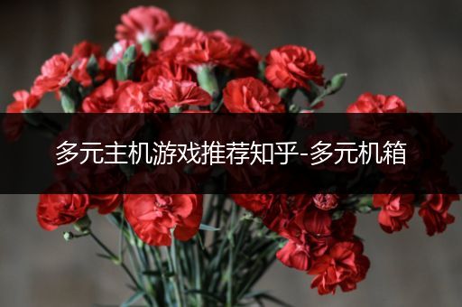 多元主机游戏推荐知乎-多元机箱