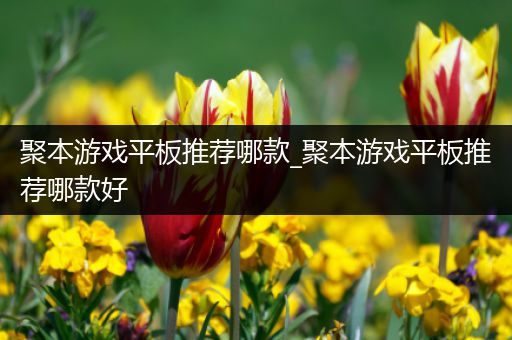 聚本游戏平板推荐哪款_聚本游戏平板推荐哪款好