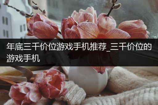 年底三千价位游戏手机推荐_三千价位的游戏手机