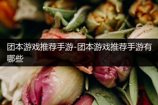 团本游戏推荐手游-团本游戏推荐手游有哪些