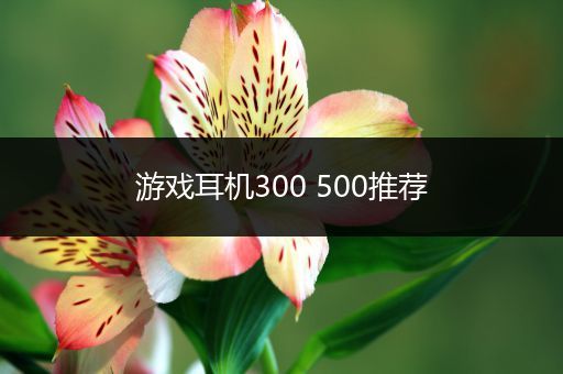 游戏耳机300 500推荐