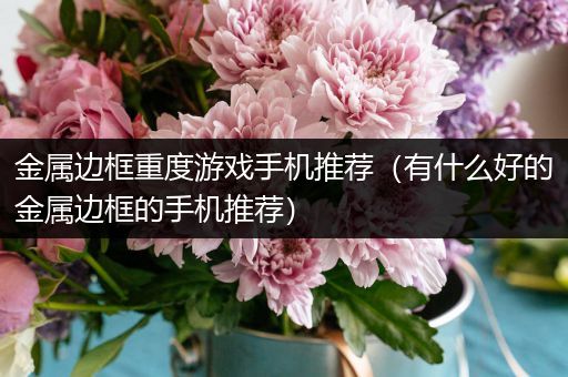 金属边框重度游戏手机推荐（有什么好的金属边框的手机推荐）