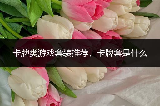 卡牌类游戏套装推荐，卡牌套是什么