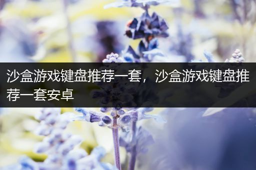 沙盒游戏键盘推荐一套，沙盒游戏键盘推荐一套安卓