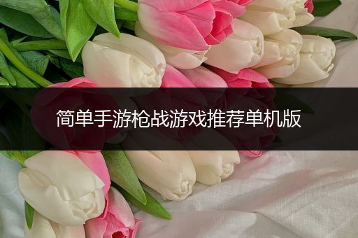 简单手游枪战游戏推荐单机版