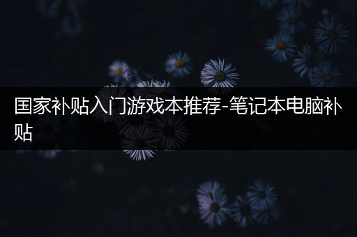 国家补贴入门游戏本推荐-笔记本电脑补贴