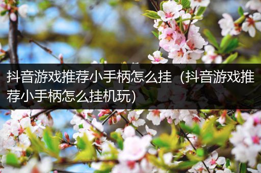 抖音游戏推荐小手柄怎么挂（抖音游戏推荐小手柄怎么挂机玩）