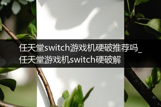 任天堂switch游戏机硬破推荐吗_任天堂游戏机switch硬破解