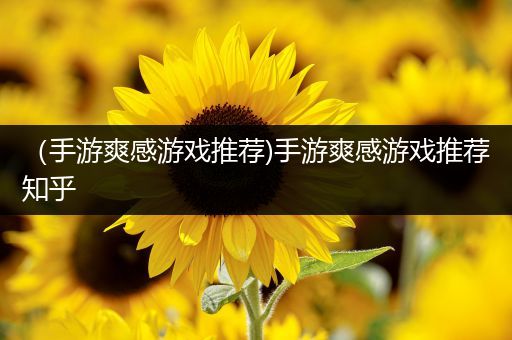 （手游爽感游戏推荐)手游爽感游戏推荐知乎