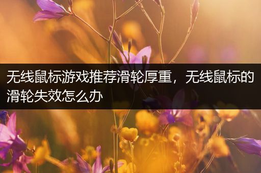 无线鼠标游戏推荐滑轮厚重，无线鼠标的滑轮失效怎么办