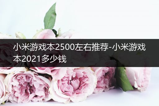 小米游戏本2500左右推荐-小米游戏本2021多少钱