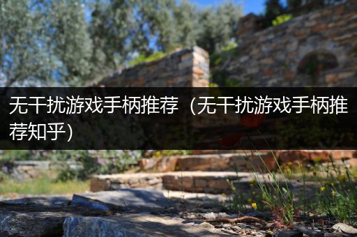 无干扰游戏手柄推荐（无干扰游戏手柄推荐知乎）
