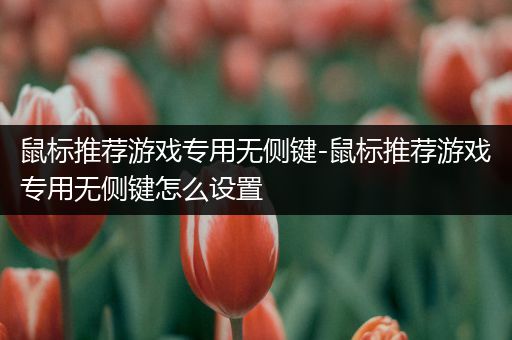 鼠标推荐游戏专用无侧键-鼠标推荐游戏专用无侧键怎么设置