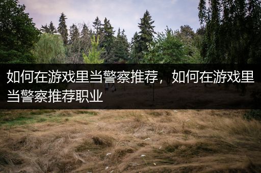 如何在游戏里当警察推荐，如何在游戏里当警察推荐职业