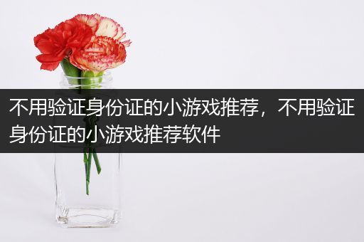 不用验证身份证的小游戏推荐，不用验证身份证的小游戏推荐软件