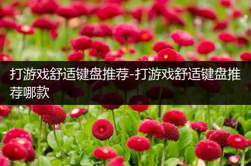 打游戏舒适键盘推荐-打游戏舒适键盘推荐哪款