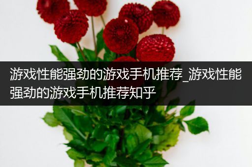 游戏性能强劲的游戏手机推荐_游戏性能强劲的游戏手机推荐知乎
