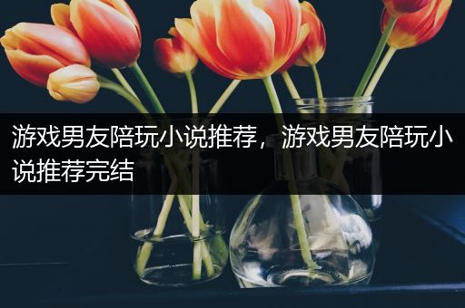 游戏男友陪玩小说推荐，游戏男友陪玩小说推荐完结