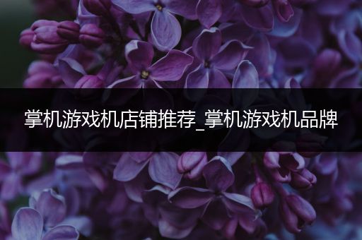 掌机游戏机店铺推荐_掌机游戏机品牌