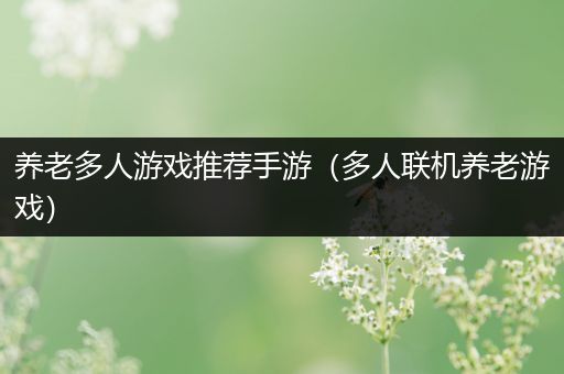 养老多人游戏推荐手游（多人联机养老游戏）