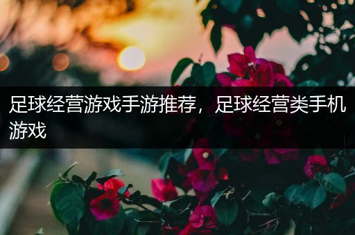 足球经营游戏手游推荐，足球经营类手机游戏
