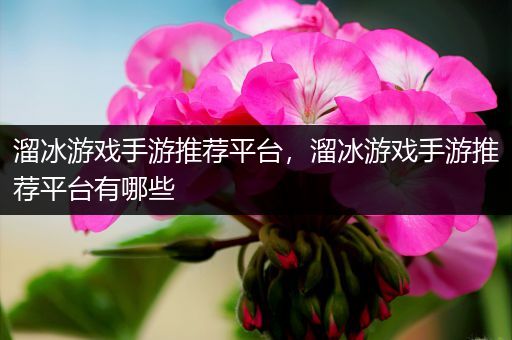 溜冰游戏手游推荐平台，溜冰游戏手游推荐平台有哪些