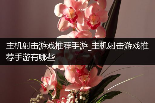 主机射击游戏推荐手游_主机射击游戏推荐手游有哪些