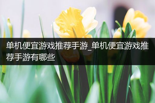 单机便宜游戏推荐手游_单机便宜游戏推荐手游有哪些