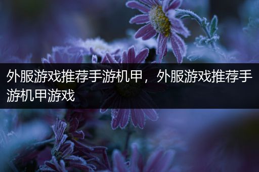 外服游戏推荐手游机甲，外服游戏推荐手游机甲游戏