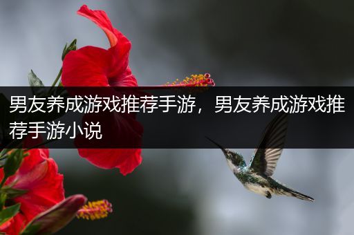 男友养成游戏推荐手游，男友养成游戏推荐手游小说