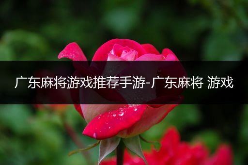 广东麻将游戏推荐手游-广东麻将 游戏