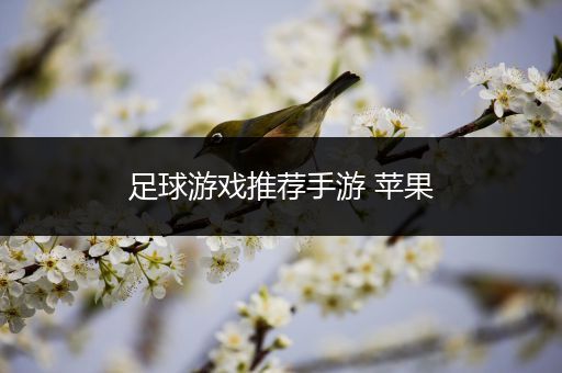 足球游戏推荐手游 苹果