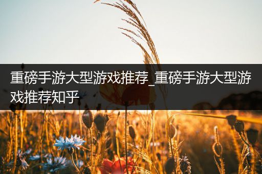 重磅手游大型游戏推荐_重磅手游大型游戏推荐知乎
