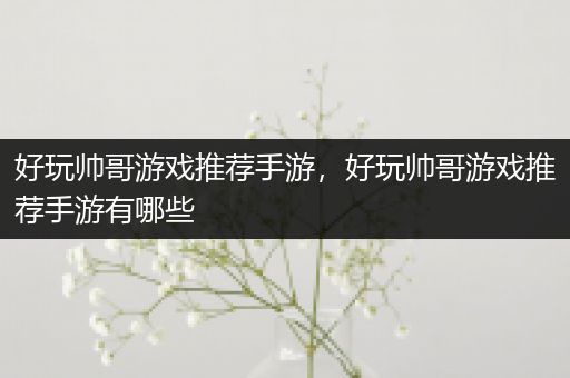 好玩帅哥游戏推荐手游，好玩帅哥游戏推荐手游有哪些
